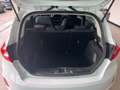Ford Fiesta Fiesta 2020 5p 1.5 ecoblue Business 85cv Titanium Blanc - thumbnail 8