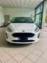 Ford Fiesta Fiesta 2020 5p 1.5 ecoblue Business 85cv Titanium Blanc - thumbnail 1