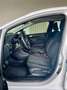 Ford Fiesta Fiesta 2020 5p 1.5 ecoblue Business 85cv Titanium Blanc - thumbnail 12