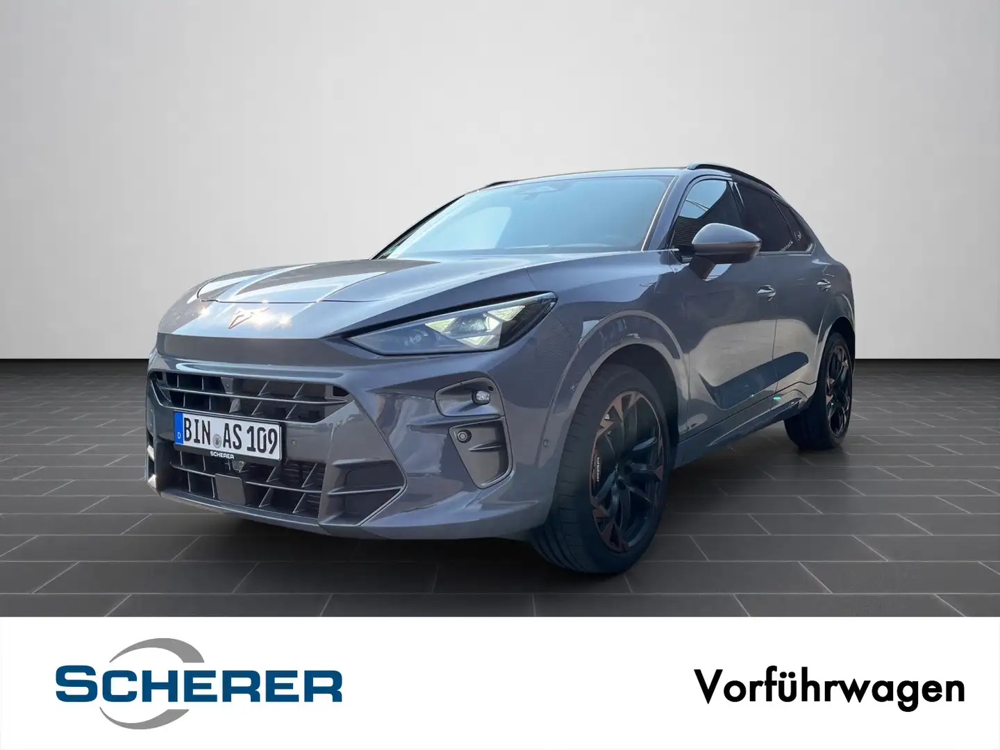 CUPRA Terramar VZ 2.0 TSI DSG Sennheiser Akebono Pano Grau - 1