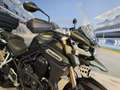 Triumph Tiger 1200 "Explorer XC" - Km 27700 - thumbnail 11