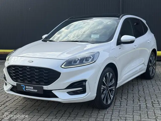 2021 Ford Kuga in White for sale