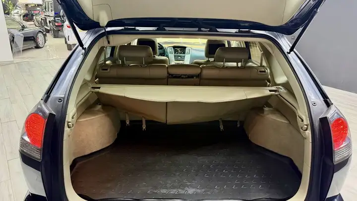 Lexus RX 2008, foto 18