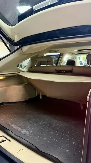 Lexus RX 2008, foto 19