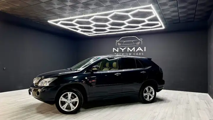 Lexus RX 2008, foto 4