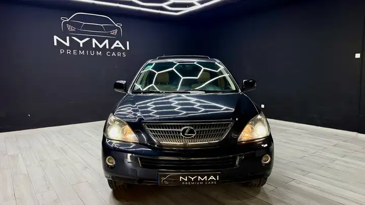 Lexus RX 2008, foto 15