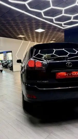Lexus RX 2008, foto 10