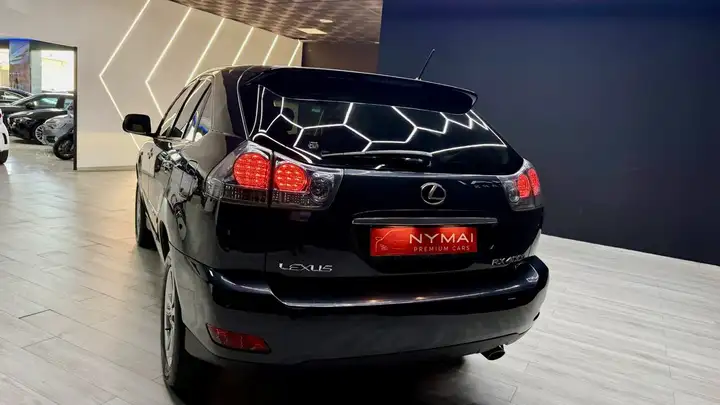 Lexus RX 2008, foto 8