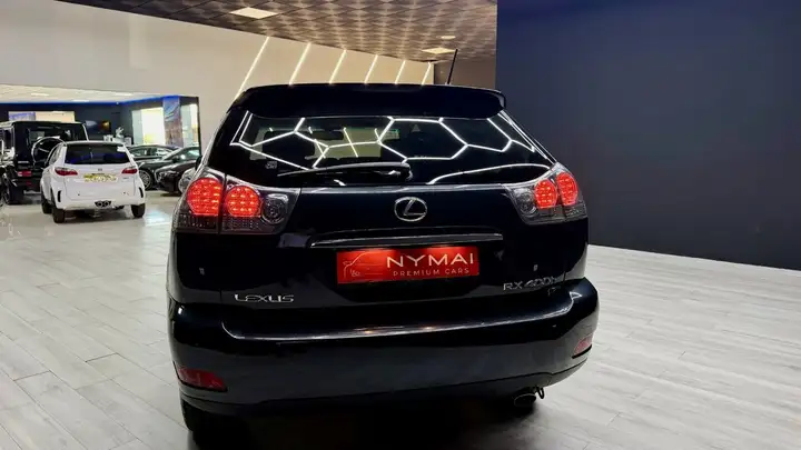 Lexus RX 2008, foto 9
