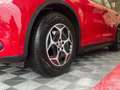 Alfa Romeo Stelvio Stelvio 2.2 Turbodiesel 190 CV AT8 Q4 Super Business Rouge - thumbnail 23