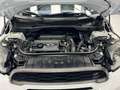 MINI Countryman S All4 DuellAG Weiß - thumbnail 17