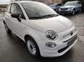 Fiat 500 Top Star Grün - thumbnail 10