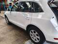 Audi Q5 Q5 2.0TDI quattro 170 DPF Blanco - thumbnail 27