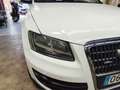 Audi Q5 Q5 2.0TDI quattro 170 DPF Blanco - thumbnail 29