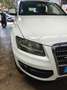 Audi Q5 Q5 2.0TDI quattro 170 DPF Blanco - thumbnail 16