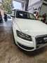 Audi Q5 Q5 2.0TDI quattro 170 DPF Blanco - thumbnail 26