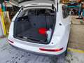 Audi Q5 Q5 2.0TDI quattro 170 DPF Blanco - thumbnail 7