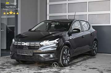 III 1.0 SCe 65 Access Pickerl NEU