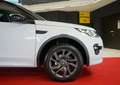 Land Rover Discovery Sport AWD Dynamic Paket AHK Kamera Bianco - thumbnail 15
