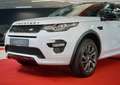 Land Rover Discovery Sport AWD Dynamic Paket AHK Kamera Blanco - thumbnail 4