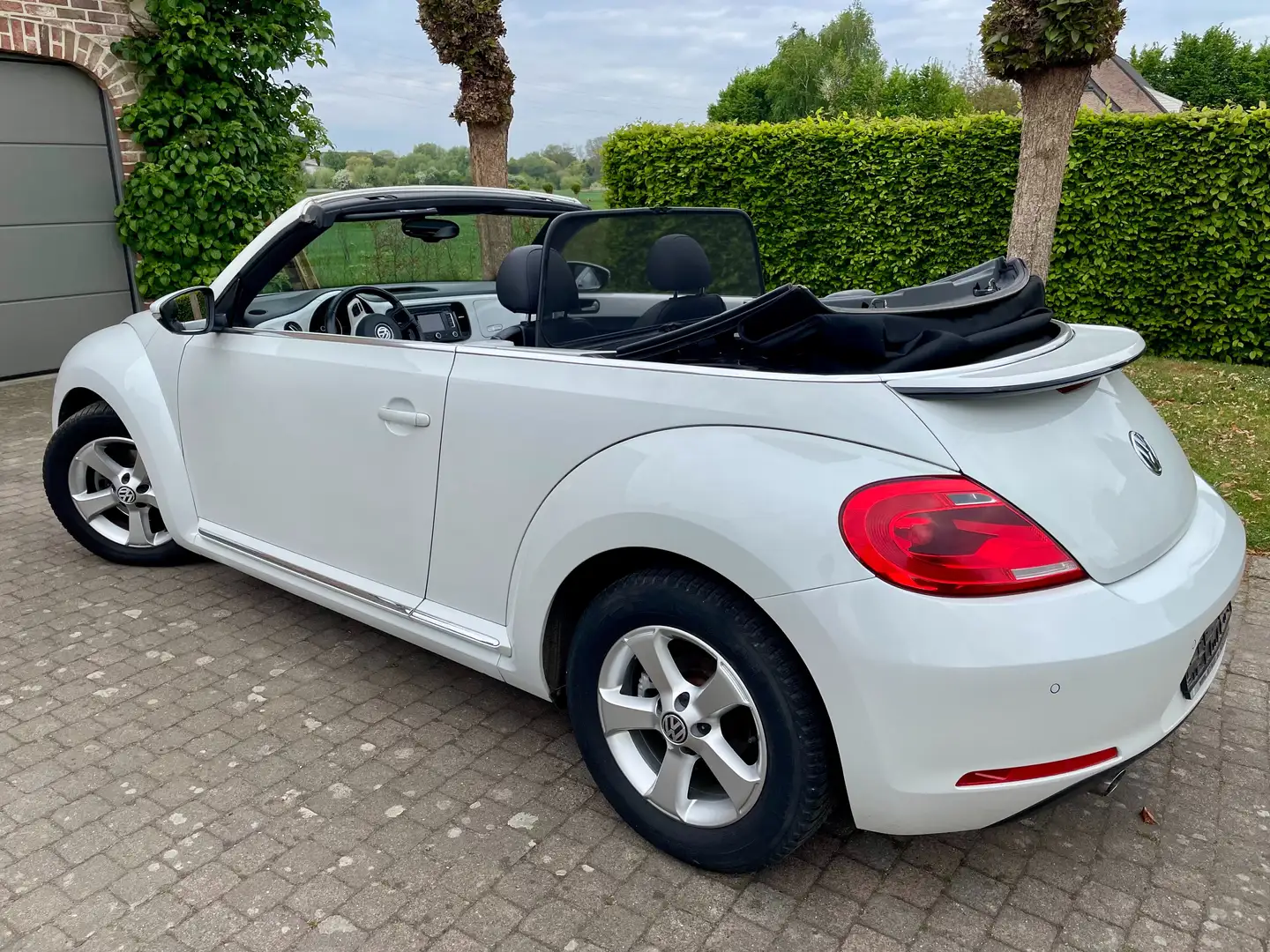 Volkswagen Beetle The Beetle Cabriolet 1.6 TDI Design Blanc - 1