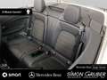 Mercedes-Benz C 200 Cabriolet AMG Line Night Distronic 360 AHK Weiß - thumbnail 20