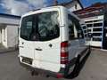 Mercedes-Benz Sprinter II Kombi 311 / 315 CDI (9-Sitzer-TÜV) Weiß - thumbnail 6