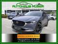 Mazda CX-30 X186 AWD HOMURA MT Grau - thumbnail 1