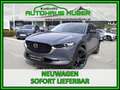 Mazda CX-30 X186 AWD HOMURA MT Grau - thumbnail 5
