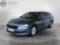 Skoda Superb Selection TDI DSG Grau - thumbnail 1