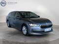 Skoda Superb Selection TDI DSG Grau - thumbnail 7