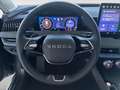 Skoda Superb Selection TDI DSG Grau - thumbnail 12