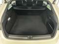 Volkswagen Arteon Shooting Brake 4M *R-Line*Matrix*StHz*AHK Weiß - thumbnail 16