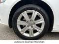 Audi A4 1.8 TSI Lim. *Ambiente* /Xenon/Tempo/Sitzhzg Blanc - thumbnail 22