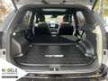 Kia Sportage Sportage 1.6 CRDi Mild Hybrid AWD DCT GT-Line Argent - thumbnail 13