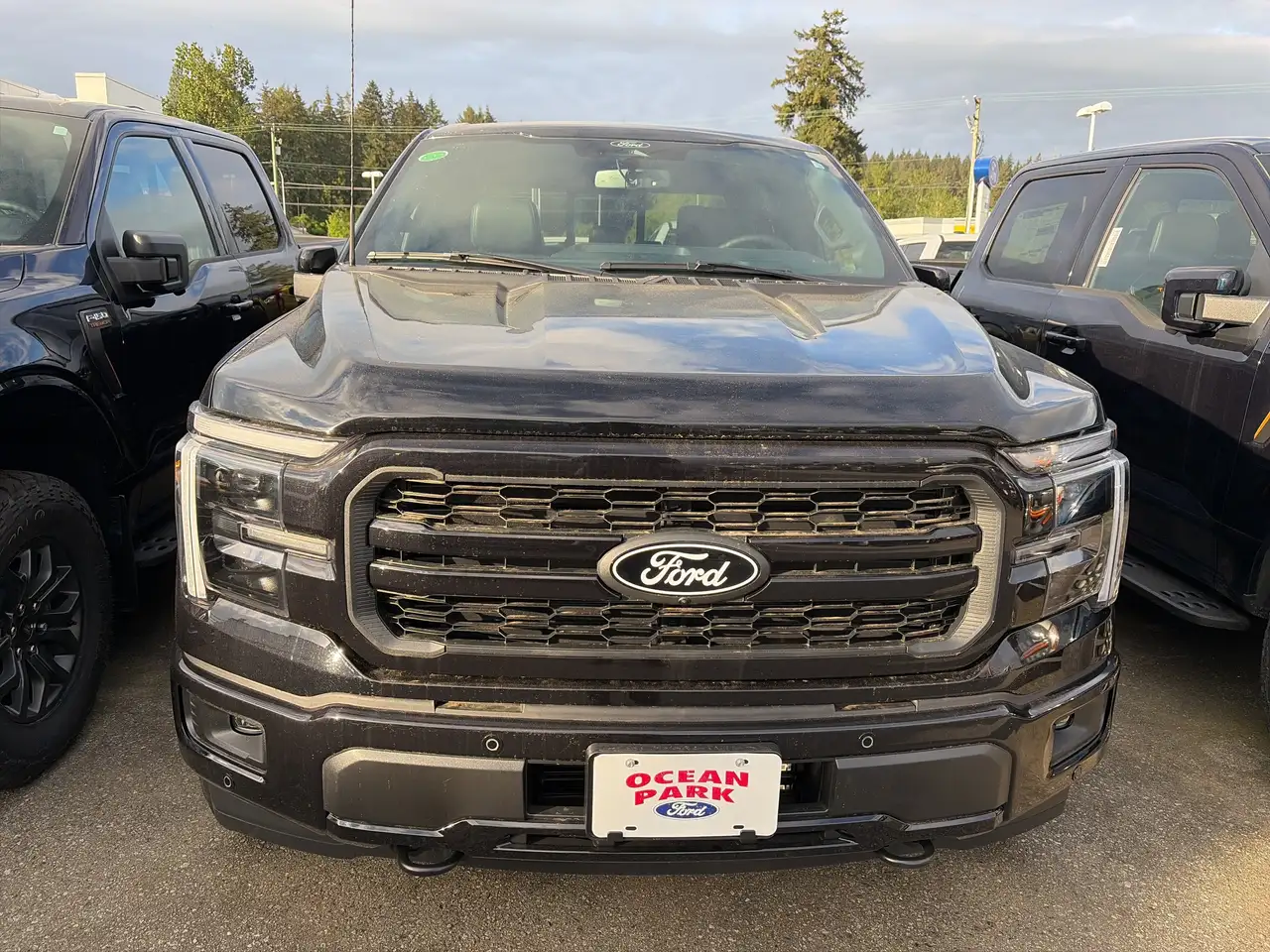 Ford F 150 снимка Ford F 150