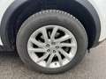 Land Rover Discovery Sport 4x4 Autom. Navi Panorama Kamera AHK Service NEU Weiß - thumbnail 18