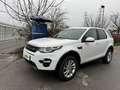 Land Rover Discovery Sport 4x4 Autom. Navi Panorama Kamera AHK Service NEU Weiß - thumbnail 4