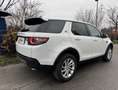 Land Rover Discovery Sport 4x4 Autom. Navi Panorama Kamera AHK Service NEU Weiß - thumbnail 3