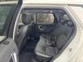 Land Rover Discovery Sport 4x4 Autom. Navi Panorama Kamera AHK Service NEU Weiß - thumbnail 9