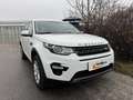 Land Rover Discovery Sport 4x4 Autom. Navi Panorama Kamera AHK Service NEU Weiß - thumbnail 1
