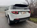 Land Rover Discovery Sport 4x4 Autom. Navi Panorama Kamera AHK Service NEU Weiß - thumbnail 6
