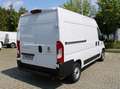 Fiat Ducato 140 L2H2 RS: 3450 mm, Klima, Einparkkamera, Holzbo Weiß - thumbnail 3