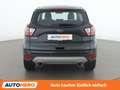 Ford Kuga 1.5 TDCi Titanium Grün - thumbnail 5