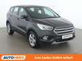 Ford Kuga 1.5 TDCi Titanium Grün - thumbnail 8