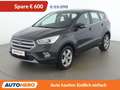 Ford Kuga 1.5 TDCi Titanium Grün - thumbnail 1
