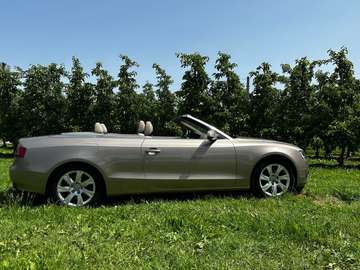 A5 2.0 TFSI Pro Line