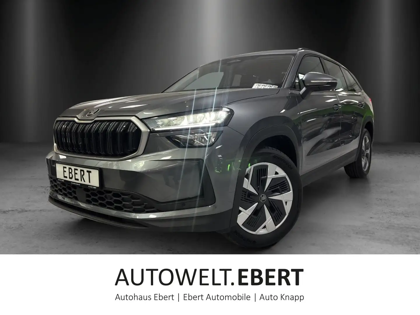 Skoda Kodiaq Selection 1,5 TSI m-HEV 110 kW DSG Grau - 1