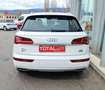 Audi Q5 2.0 TDI 190 CV quattro S tronic Business Sport Weiß - thumbnail 8