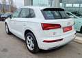 Audi Q5 2.0 TDI 190 CV quattro S tronic Business Sport Weiß - thumbnail 6